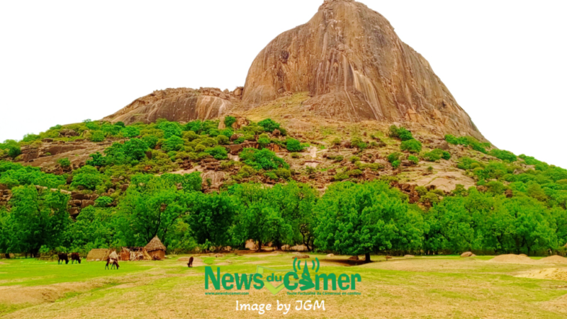 Cameroon’s tourism sector: a decade of decline and substantial losses