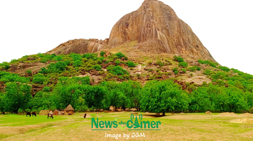 Cameroon’s tourism sector: a decade of decline and substantial losses