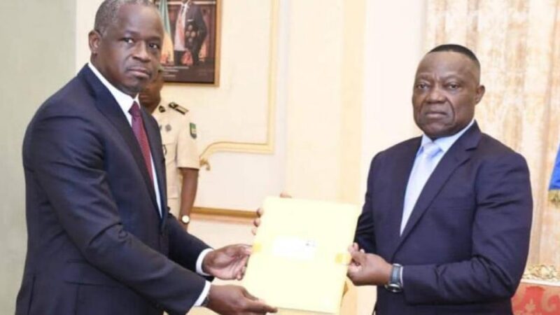 Gabon census data submitted for constitutional validation