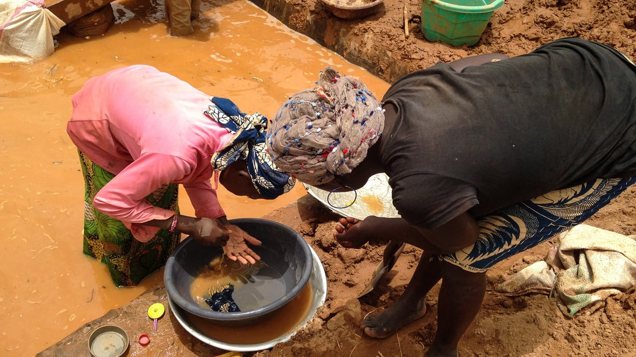 Cameroon’s disappearing gold: billions evade state control
