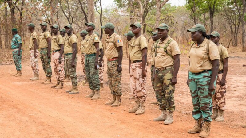 Chad enforces ban on military attire for forestry agents
