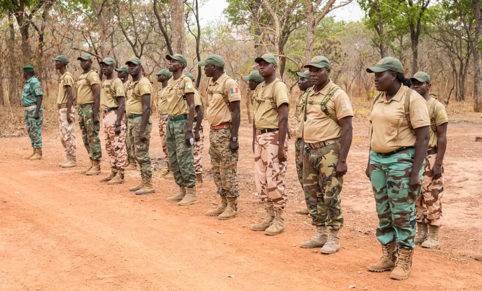 Chad enforces ban on military attire for forestry agents