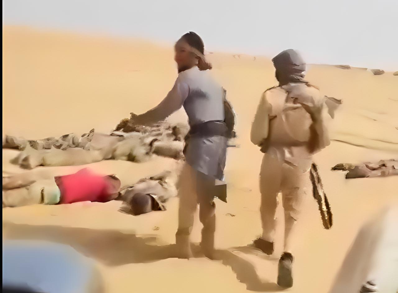North Mali ambush exposes critical security failures after deadly attack