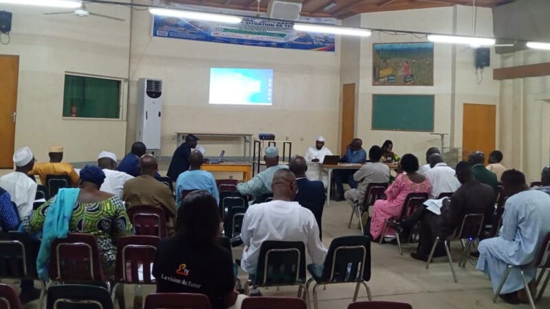 Chad advances digital education reform with national strategy validation