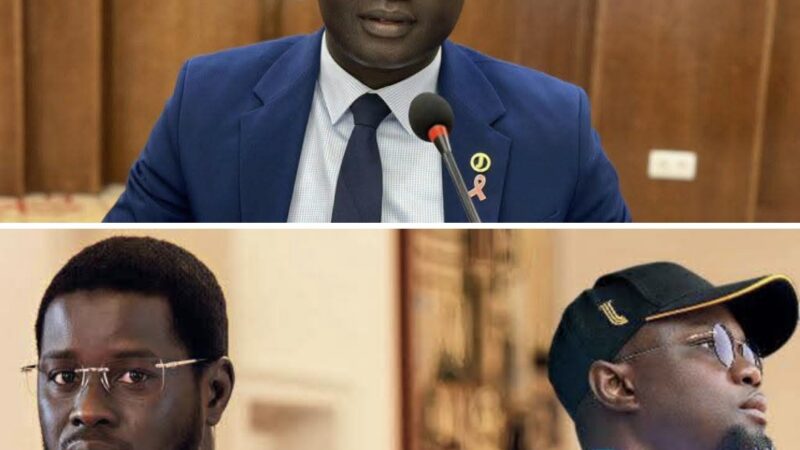 Senegal politics: Diémé counters Sonko’s victim narrative to defend President Faye