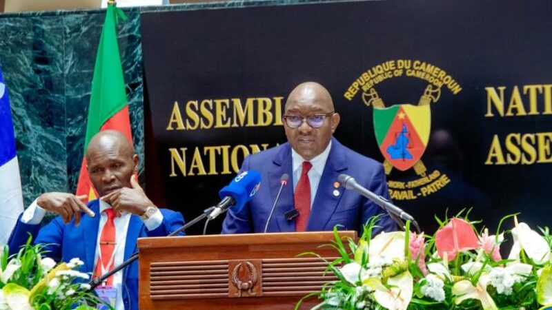 DRC highlights ecological crisis in east amid Rwanda-backed conflict