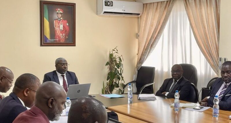 Gabon’s quiet revolution in legal drafting for stronger governance