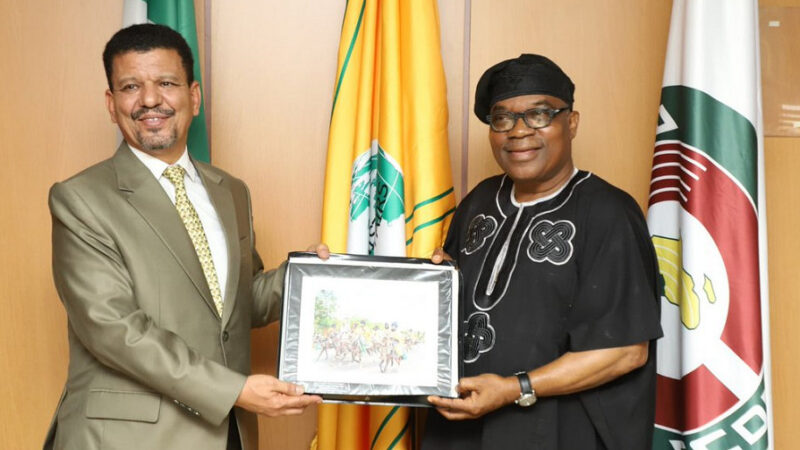 Abuja’s steadfast support for Polisario: challenging the Nigeria-Morocco gas pipeline vision