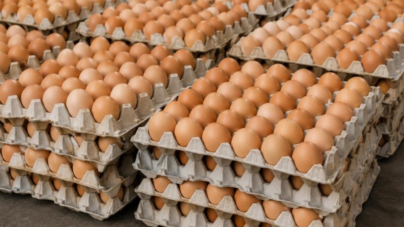Egg price cap in Burkina Faso stifles local poultry industry