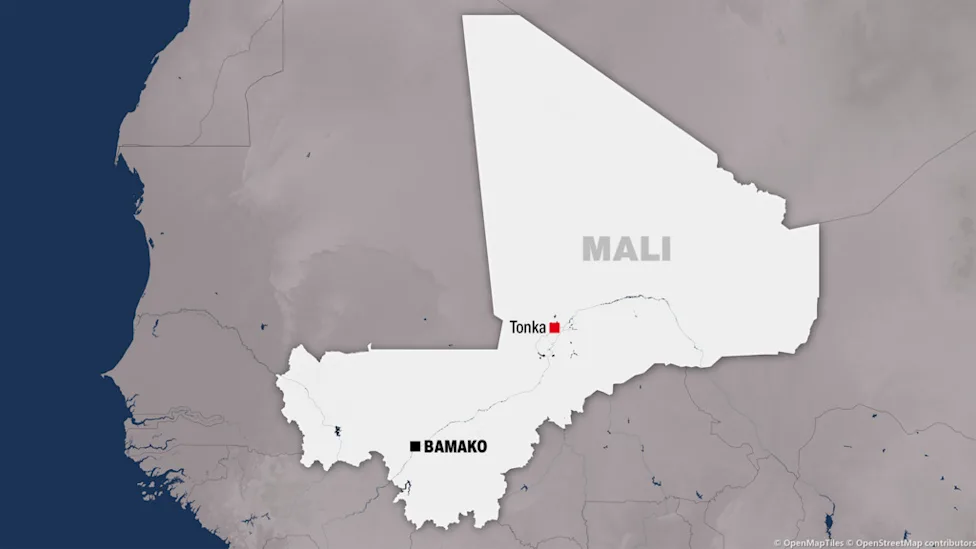 Aerial view of Tonka market in Mali's Tombouctou region where a targeted assassination occurred