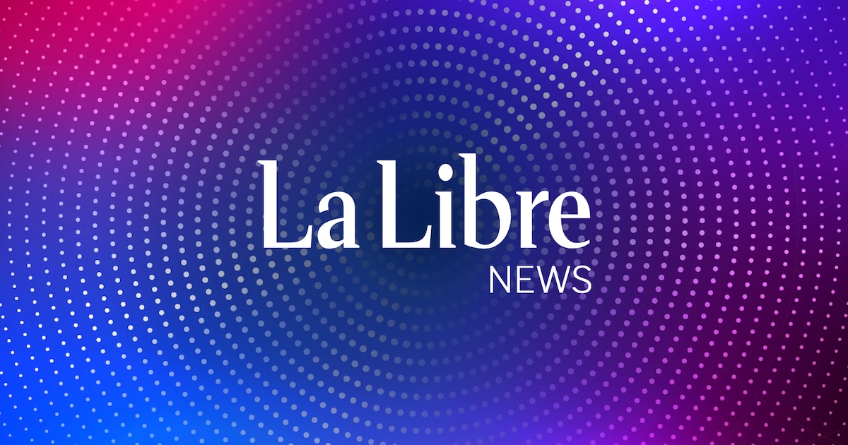 Niger: jihadist attack near N’Guigmi leaves soldiers dead