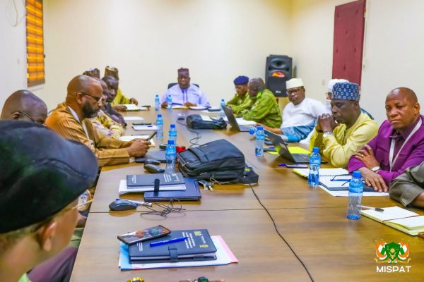 Niger midterm review of public action and international expertise