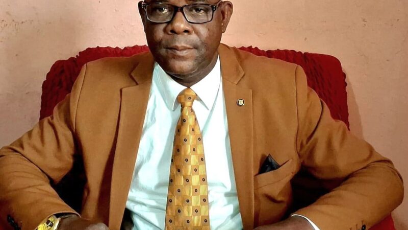 Joachim Mbatchi Pambou champions a national consolidation pact for Gabon