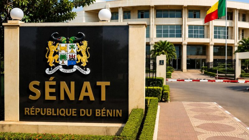 Bénin’s political system: how the executive and legislative powers remain distinct