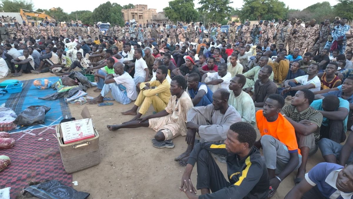 N’djamena: a major anti-crime crackdown nets 252 individuals