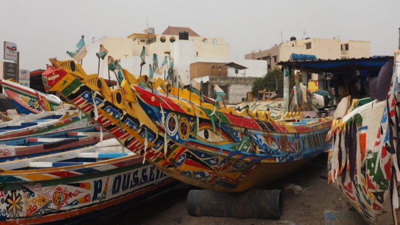 Sénégal’s import surge in june contrasts with semester decline