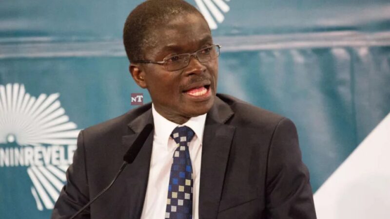 Bénin: senatorial institution defended as key to democratic stability