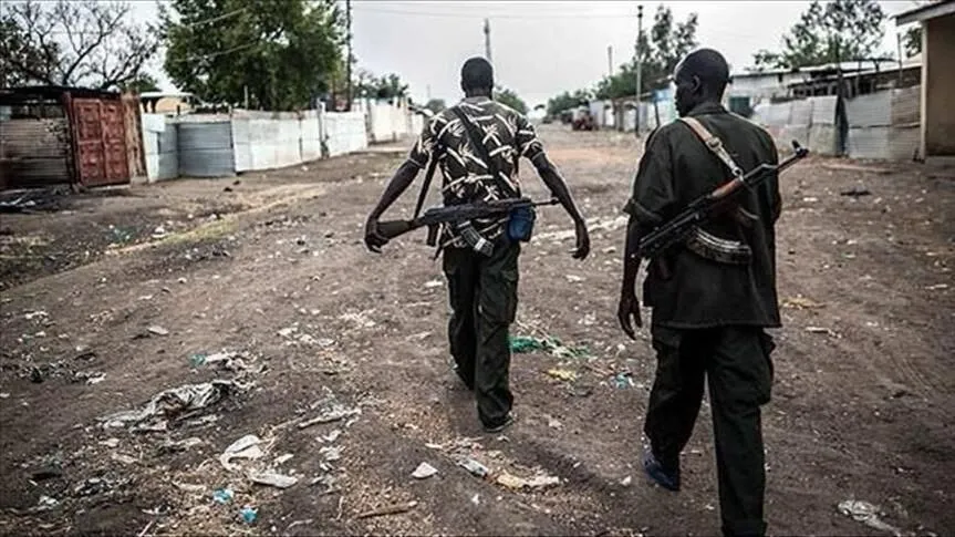 Deadly boko haram attack strikes extreme north Cameroon village