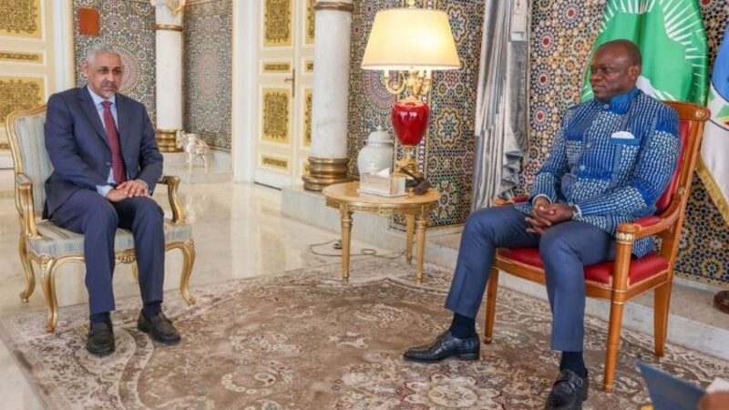 Gabon and African development bank unveil priority projects pact