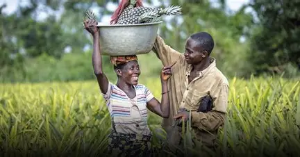 Bénin advances agricultural insurance to shield farmers from climate risks