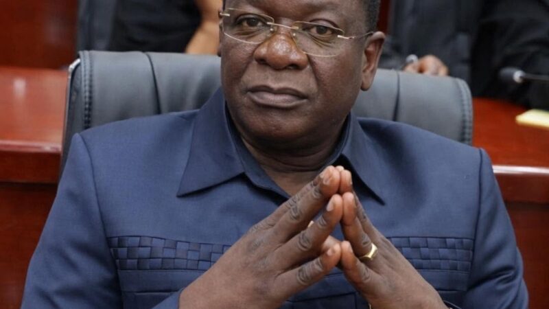 Tchad: RNDT-Le Réveil welcomes presidential pardon as political thaw