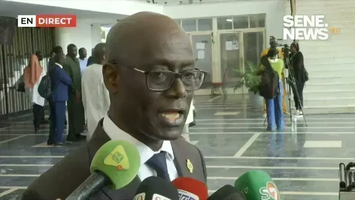Senegal political shake-up: Thierno Alassane Sall exposes Ousmane Sonko's secrets Senegal political shake-up: Thierno Alassane Sall exposes Ousmane Sonko's secrets